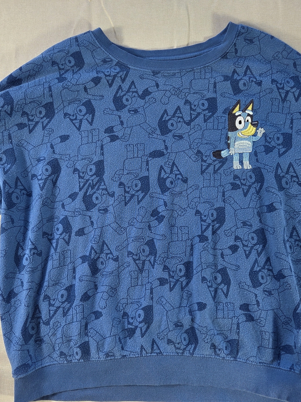 Bluey All Over Print Crewneck Sweatshirt Adult Large Embroidered Fleece